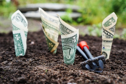Non Sinful Investing Represented by Dollars Growing Out of Garden